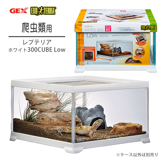 Gex ジェックス レプテリア ホワイト 300 Cube Low ケージ ハウス 小型 爬虫類 両生類 用品 ガラス製 飼育 Psicologosancora Es