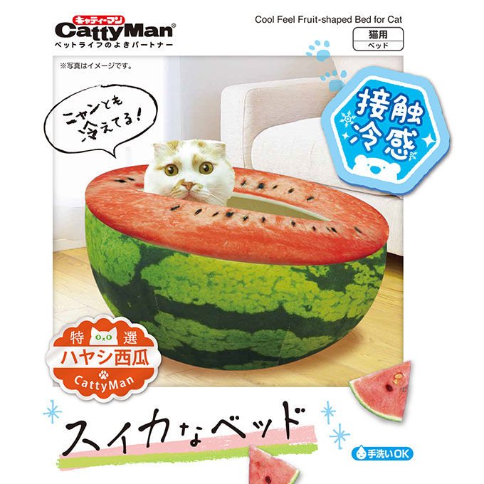 楽天市場 在庫一掃 アウトレットセール ドギーマンハヤシ スイカ な ベッド 猫 ひんやり用品 夏 暑さ 熱中症 対策 クール 接触 冷感 ベット ペット グッズ 用品 あす楽対応 ペッツビレッジクロス ペット通販