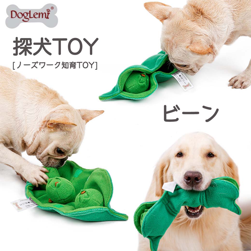 ドギーマン DoggyMan InuToyBox ※種類は選べません ボーダーズー 犬用 本物保証! InuToyBox