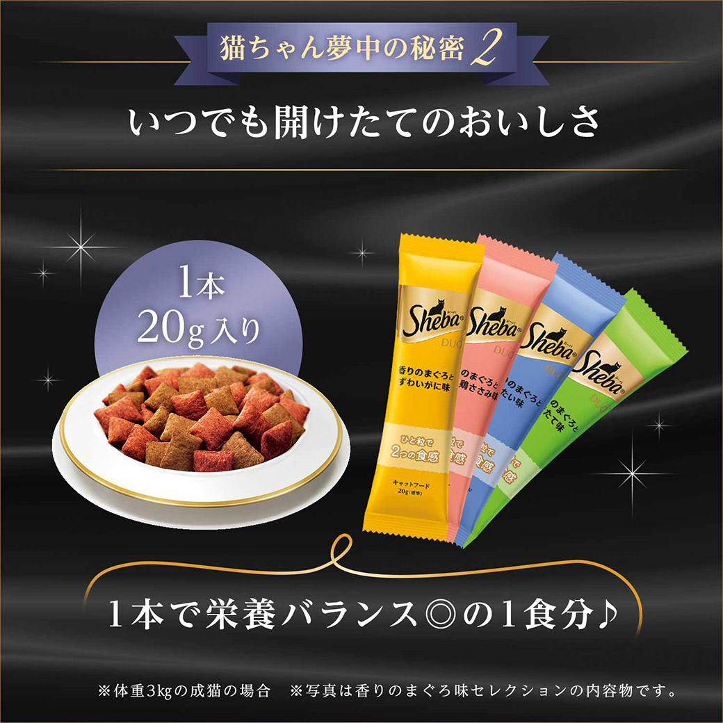 最大82％オフ！ 10 5限定シーバ デュオ 贅沢お魚味グルメセレクション 200g×12個  キャットフード ドライフード 猫 成猫  www.electromotorkara.ir