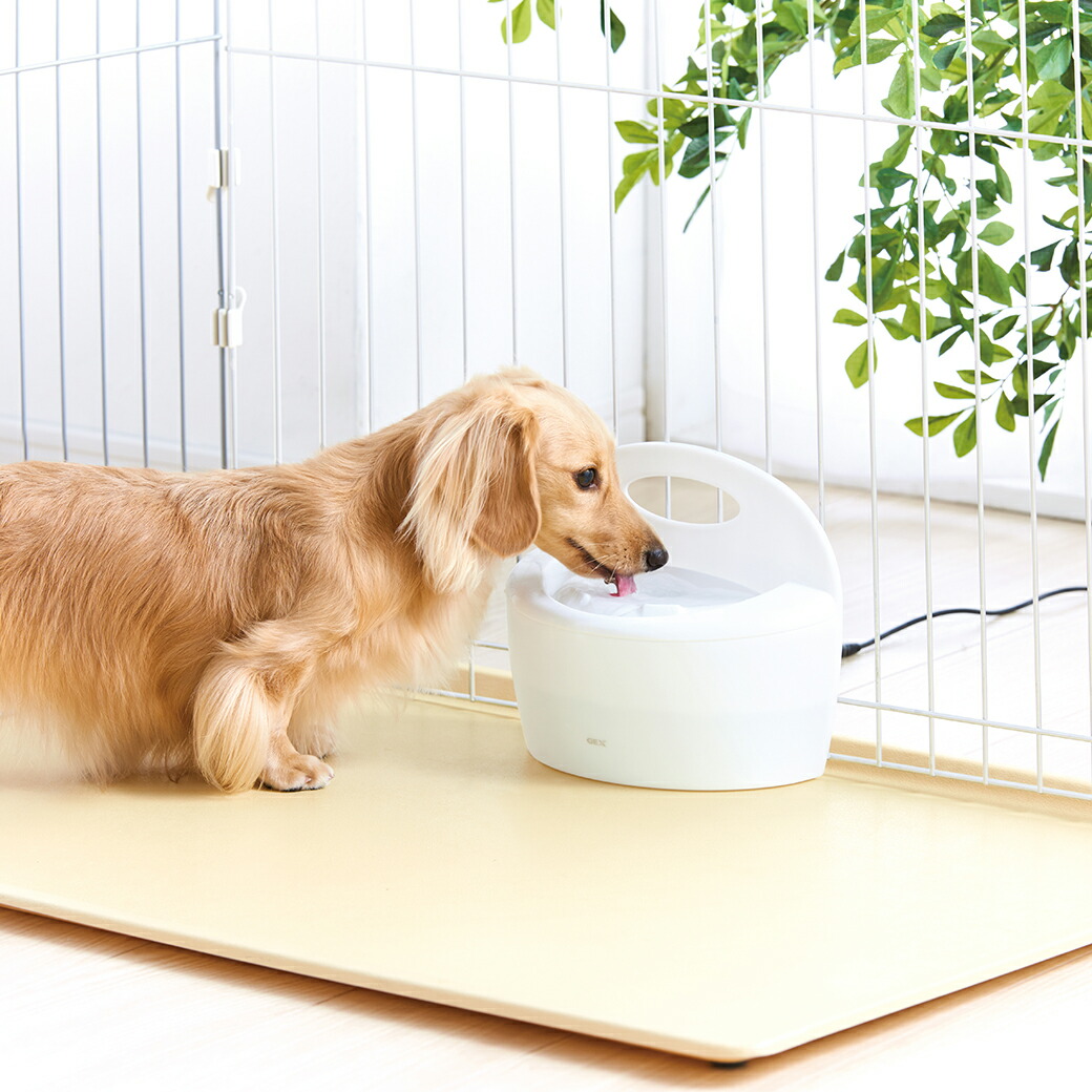 堅実な究極の 7 22 9 59まで 350円offクーポン Gex ジェックス ピュアクリスタル フィット 900ml ホワイト 犬用 猫用 フィルター式給水器 Fit 循環型給水器 Whitesforracialequity Org