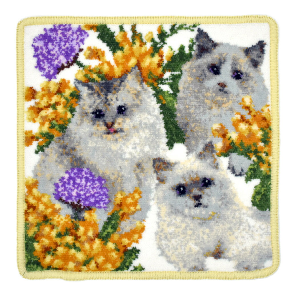 華麗 シーエスワールド Enjeau アーンジョー ハンカチ ラグドール オーナー用 Toyama Nozai Co Jp