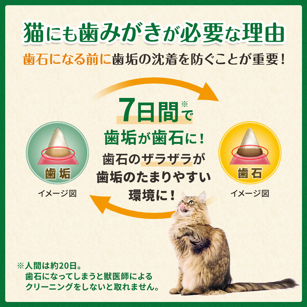 注目のブランド グリニーズ 猫 旨味ミックス 130g×４袋 discoverydom.ru