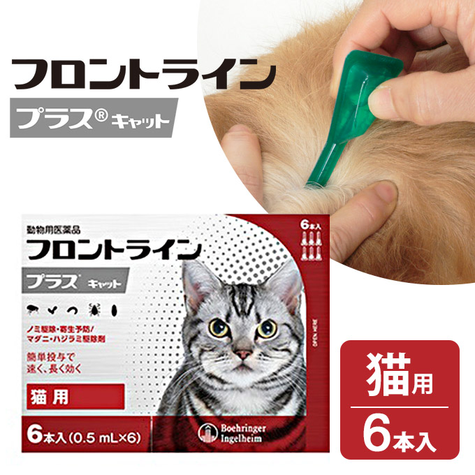 楽天市場 フロントラインプラス 猫用 6p 動物用医薬品 ノミ ダニ シラミ駆除 送料無料 同梱不可 ペッツビレッジクロス ペット通販