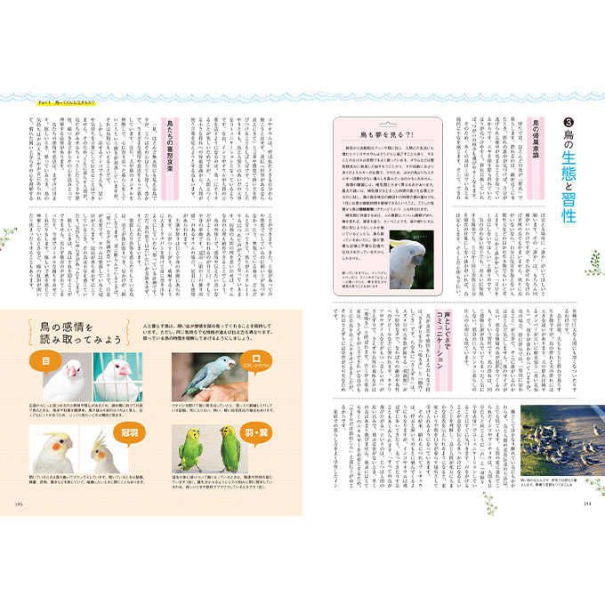 楽天市場 日本愛玩動物協会 愛玩動物 Withpets 別冊 ペットの飼養管理 ペット雑誌 ペットケア 犬 猫 小動物 本 あす楽対応 ペッツビレッジクロス ペット通販