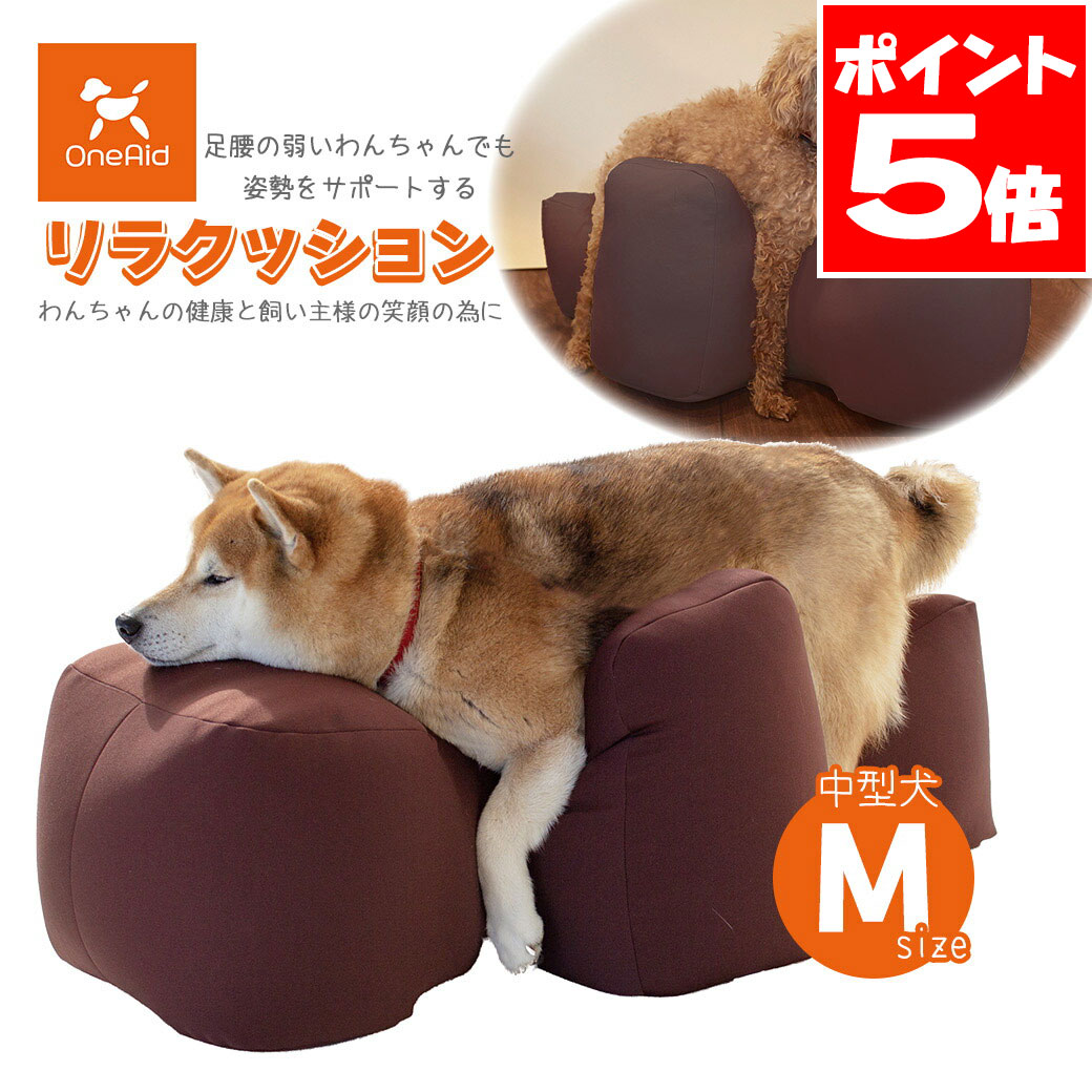 楽天市場】アロン化成 OneAid ワンエイド 姿勢サポートクッション DM