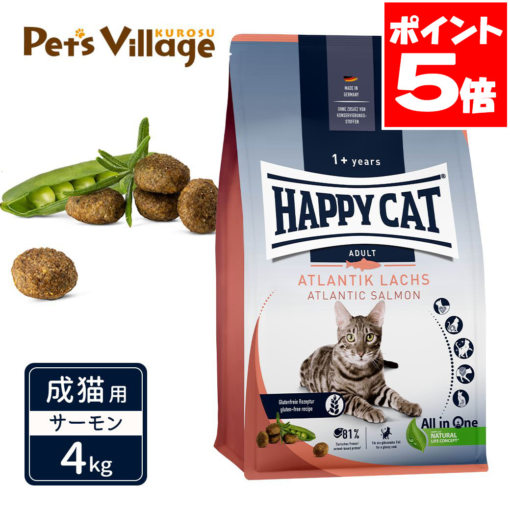 ? インスティンクトが目覚める命のせんたくを 生まれながら原料品の贅沢さ猫じゃらし3種書き割り