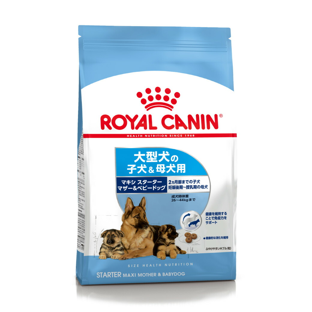 市場 本日ポイント4倍相当 マースジャパンリミテッドペディグリーそれいけ 小型犬