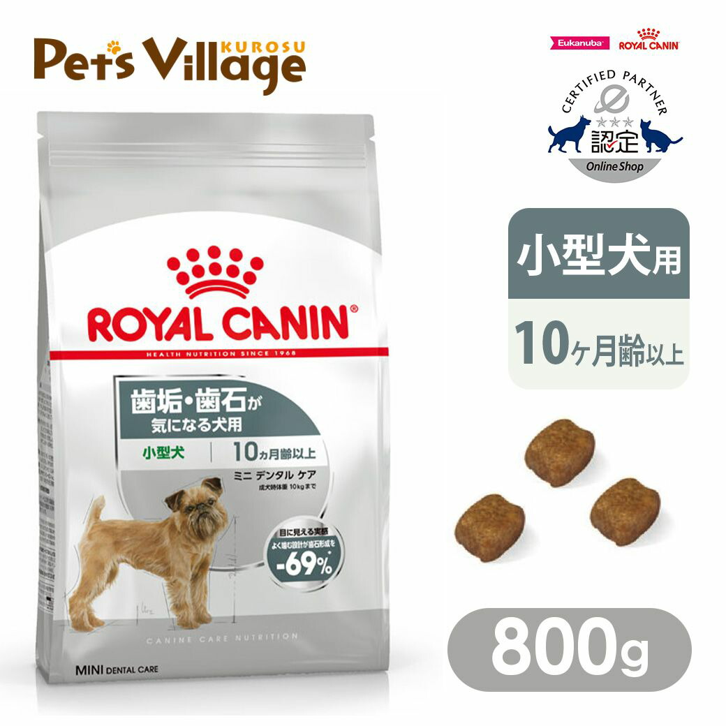 Amazon.co.jp: ロイヤルカナン CCN ミニエクシジェント 2kg