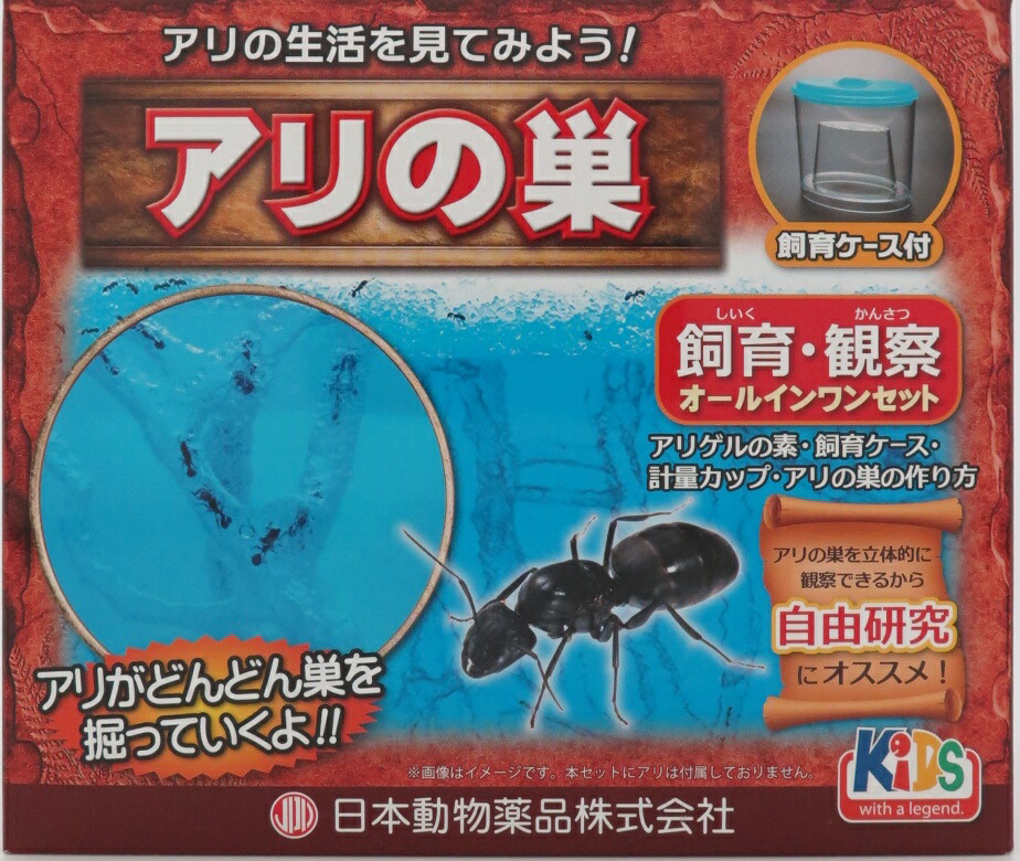 期間限定の激安セール ニチドウ ホウネンエビ飼育観察セット 飼育 観察 セット 夏休み 自由研究 小学生 子供 大人