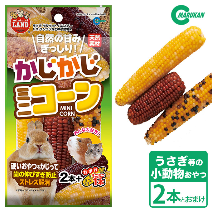 市場 GEX 小動物 敷材 ハムスター 床材 モルモット マット ハリネズミ 1kg 柔ごこち ハビんぐ