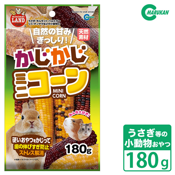 楽天市場】【3/31まで 200円OFFクーポン配布中】小動物 おもちゃ 三晃商会 ひっか木 フェンス  うさぎ ウサギ 兎 モルモット 引っ掻き  引っかき ひっかき 防止 ストレス解消 ケージ 保護 TOY 玩具 : ペッツビレッジクロス〜ペット通販