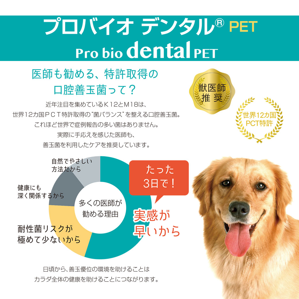 楽天市場 プレミアモード プロバイオ デンタルpet 60粒 サプリメント サプリ Supplement デンタル 獣医師推奨 口腔善玉菌 国産 犬 用品 猫用品 ペット ペットグッズ ペット用品 ペッツビレッジクロス ペット通販