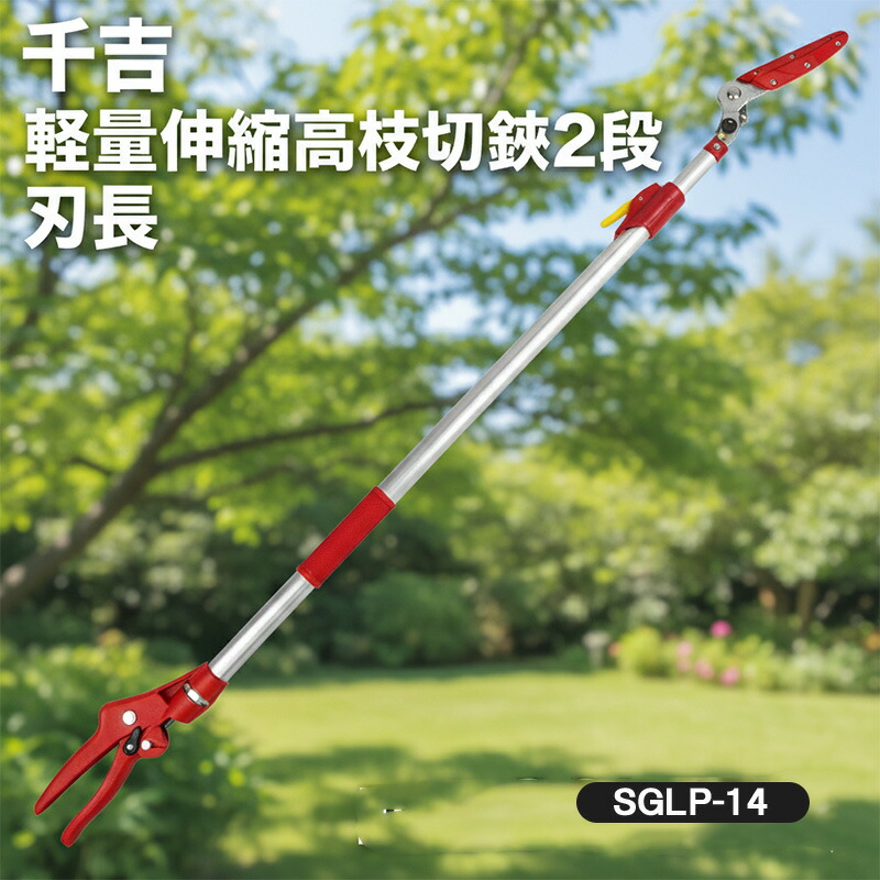 千吉 高枝切りバサミ 軽量 コンパクト 伸縮 千吉 SGLP-14 1.5m 2段 高枝切鋏 高枝切りばさみ 剪定鋏 枝切りバサミ 収穫 柿 庭木 果樹 葉刈り 長刃 キャッチ機能 女性 高齢者 軽い 短い 収納便利 ■レビュート 特典あり