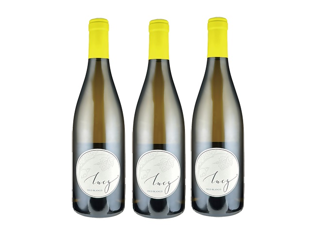 【送料無料】【3本セット】ルーシー　ピコ・ブランコ モントレー 　カリフォルニア　750ml　白ワイン　3本　Lucy　Pico Blanco Monterey　California｜車屋酒店