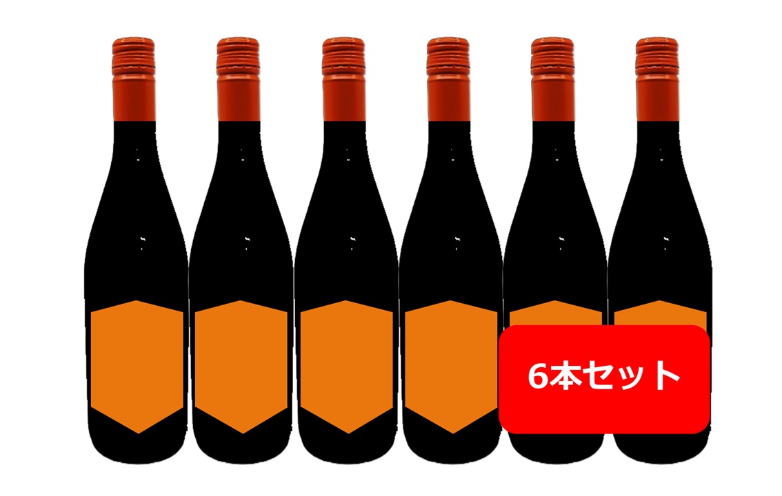 【送料無料】【白6本セット】【人気のアルゼンチンワイン】オレンジ色のラベルが特徴の白ワイン　シャルドネ　750ml　6本　辛口　Chardonnay　アルゼンチン　メンドーサ　マイプ