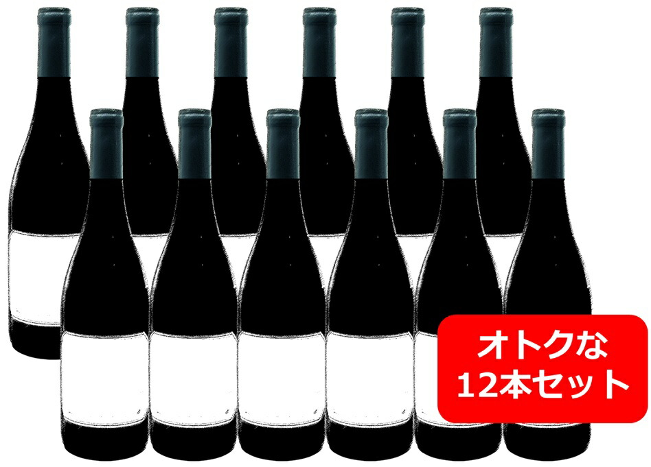 【送料無料】【大人気】【12本セット】くまのデザインの白ワイン　12本　750ml　CHARDONNAY　CALIFORNIA　アメリカ　カリフォルニア　ストーリー・リッジ・ヴィニャーズ｜車屋酒店