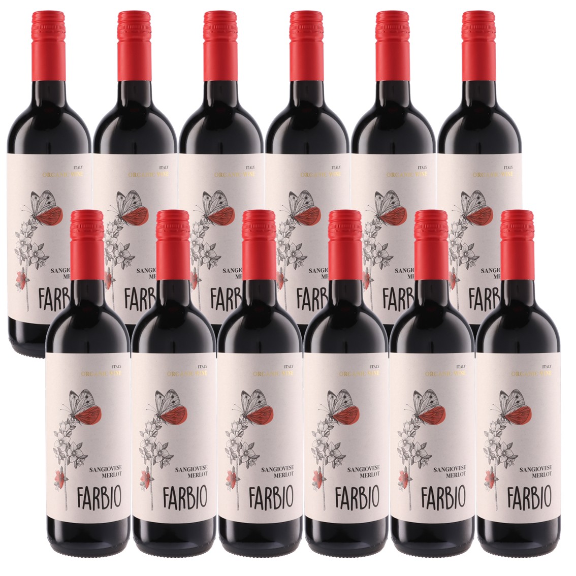 【送料無料】【12本セット】ファルビオ サンジョヴェーゼ メルロー オーガニック　Farbio Sangiovese Merlot Organic　テッレ・チェヴィコ　Terre Cevico Soc. Coop. Agricola　12本　750ml　赤ワイン　ミディアム　イタリア　エミリア・ロマーニャ　有機JAS認証｜車屋酒店