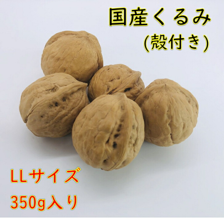 楽天市場】予約商品 【バターの実】 国産くるみ 殻付きタイプ(Mサイズ)【350g】 生産者直売 日本産 長野県産 胡桃 生くるみ 殻付きくるみ  ナッツ 送料無料（一部地域除く） : ハッピーナッツ倶楽部