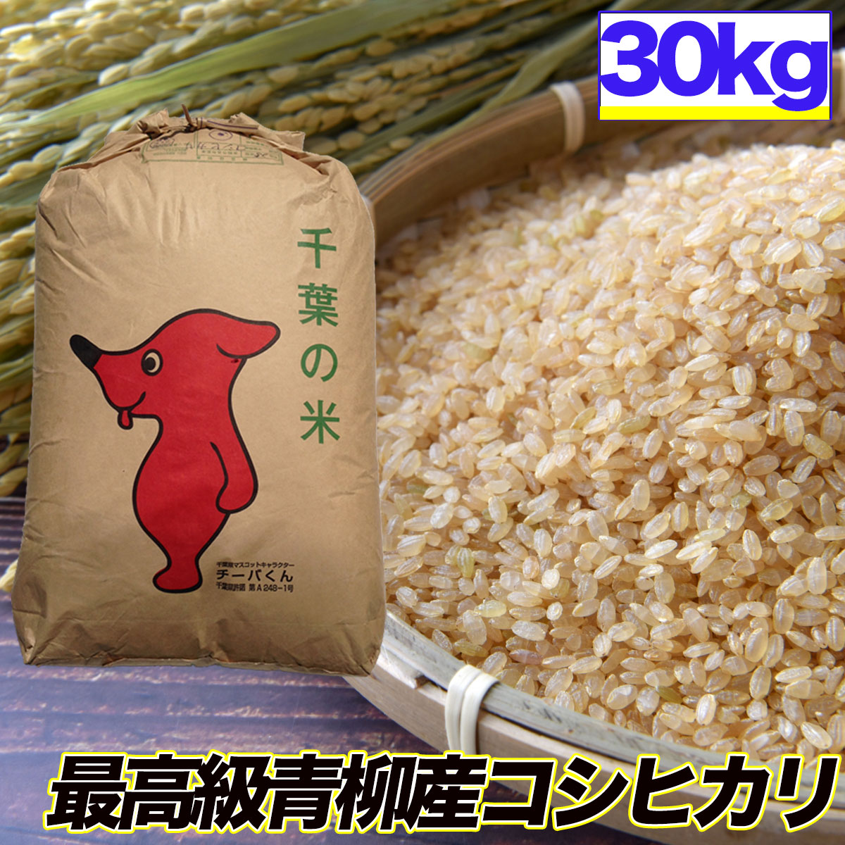 楽天市場】新米 粒すけ 令和6年産 10kg 20kg 30kg 玄米食でも安心 選別済 玄米 千葉県産 精米 白米 送料無料 残留農薬検査済 残留農薬不検出  : くるりのお米屋