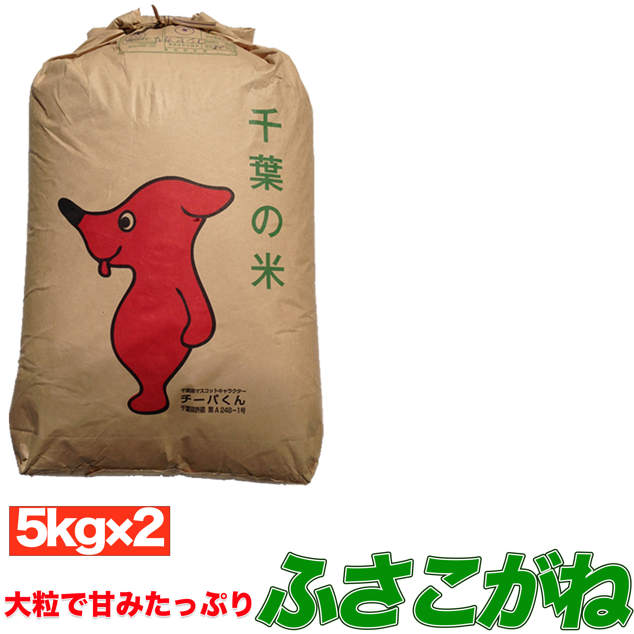 玄米 一等米 千葉県産 ふさこがね 20kg 美味しいお米 送料無料 千葉