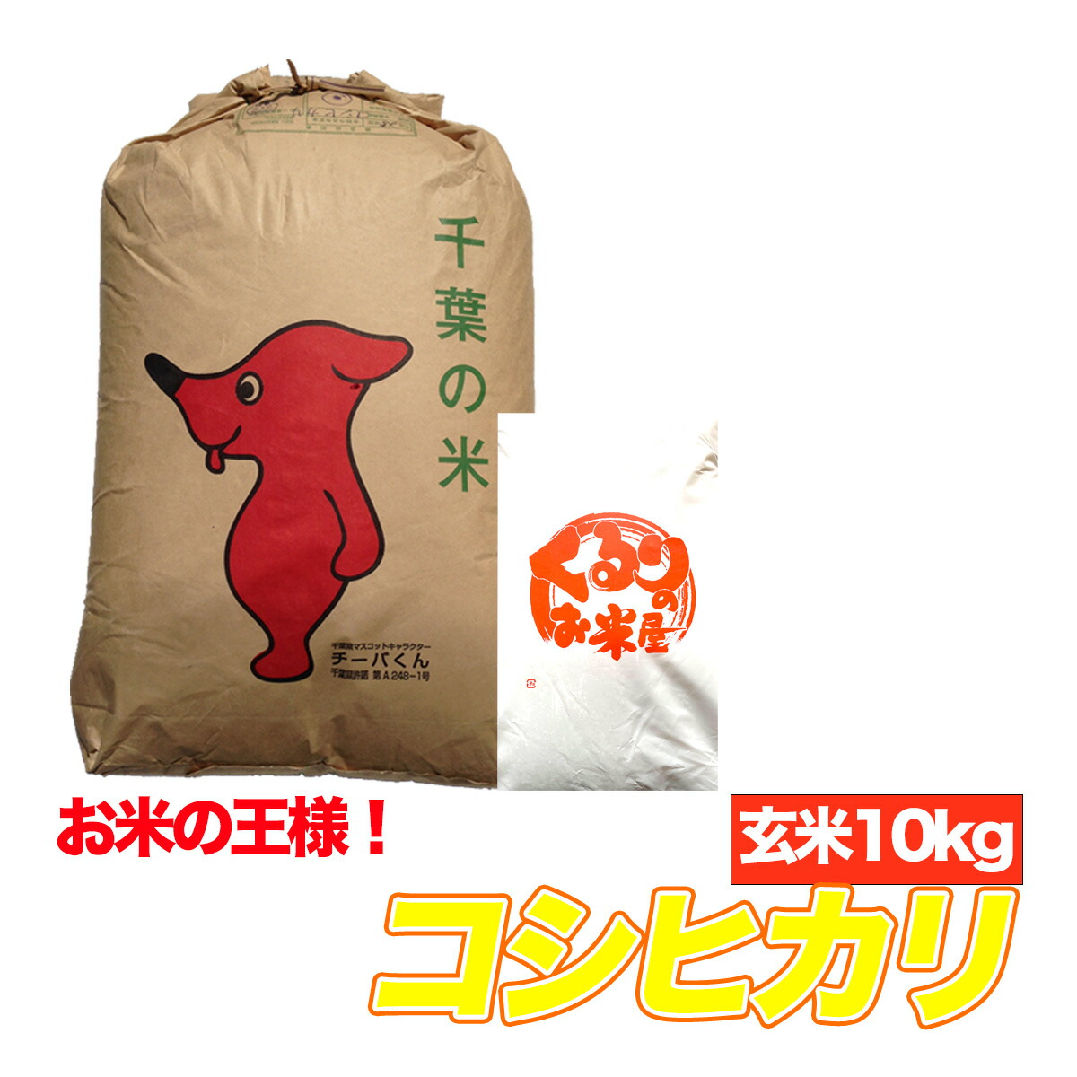 【楽天市場】新米 令和5年産 コシヒカリ 玄米 10kg 千葉県 【送料