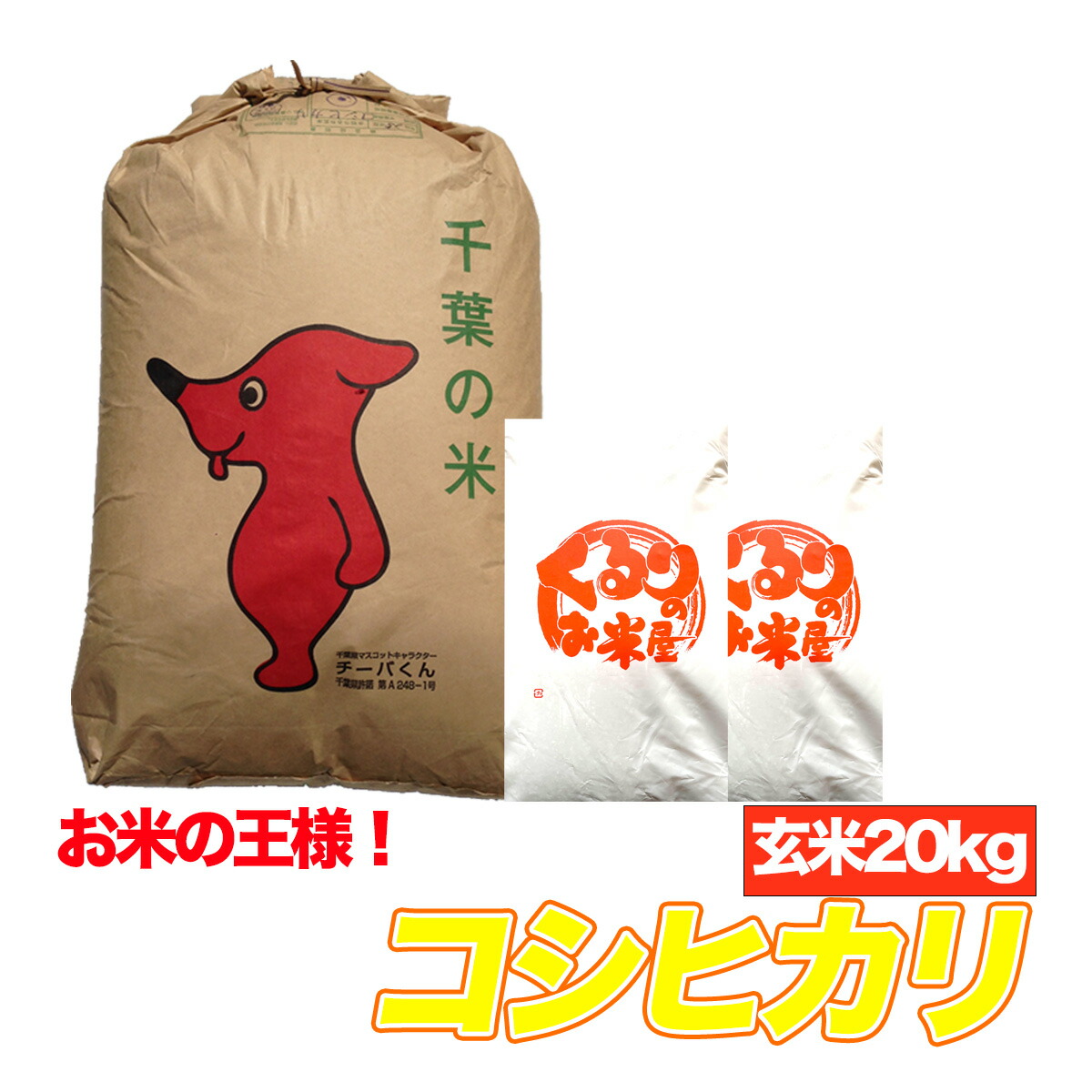 コシヒカリ 令和6年産 玄米 20kg千葉県産 精米(白米)無料 送料無料 残留農薬検査済 残留農薬不検出