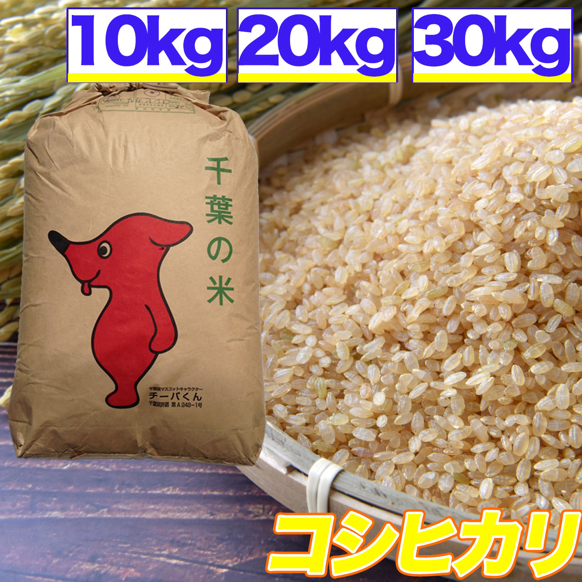 楽天市場】新米 令和6年産 玄米 30kg 塩むすびで食べて♪厳選した生産者青柳産コシヒカリ 送料無料【精米無料】【送料無料】玄米 白米 精米 30kg  こしひかり 30キロ お米 コメ コシヒカリ 食品 : くるりのお米屋