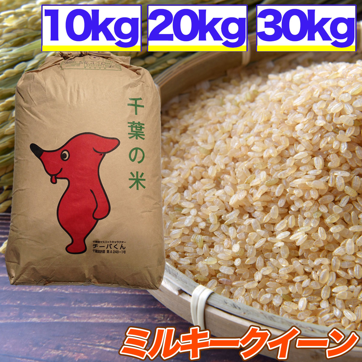 楽天市場】米 コシヒカリ 10kg 20kg 30kg 残留農薬検査済 選別済 玄米 