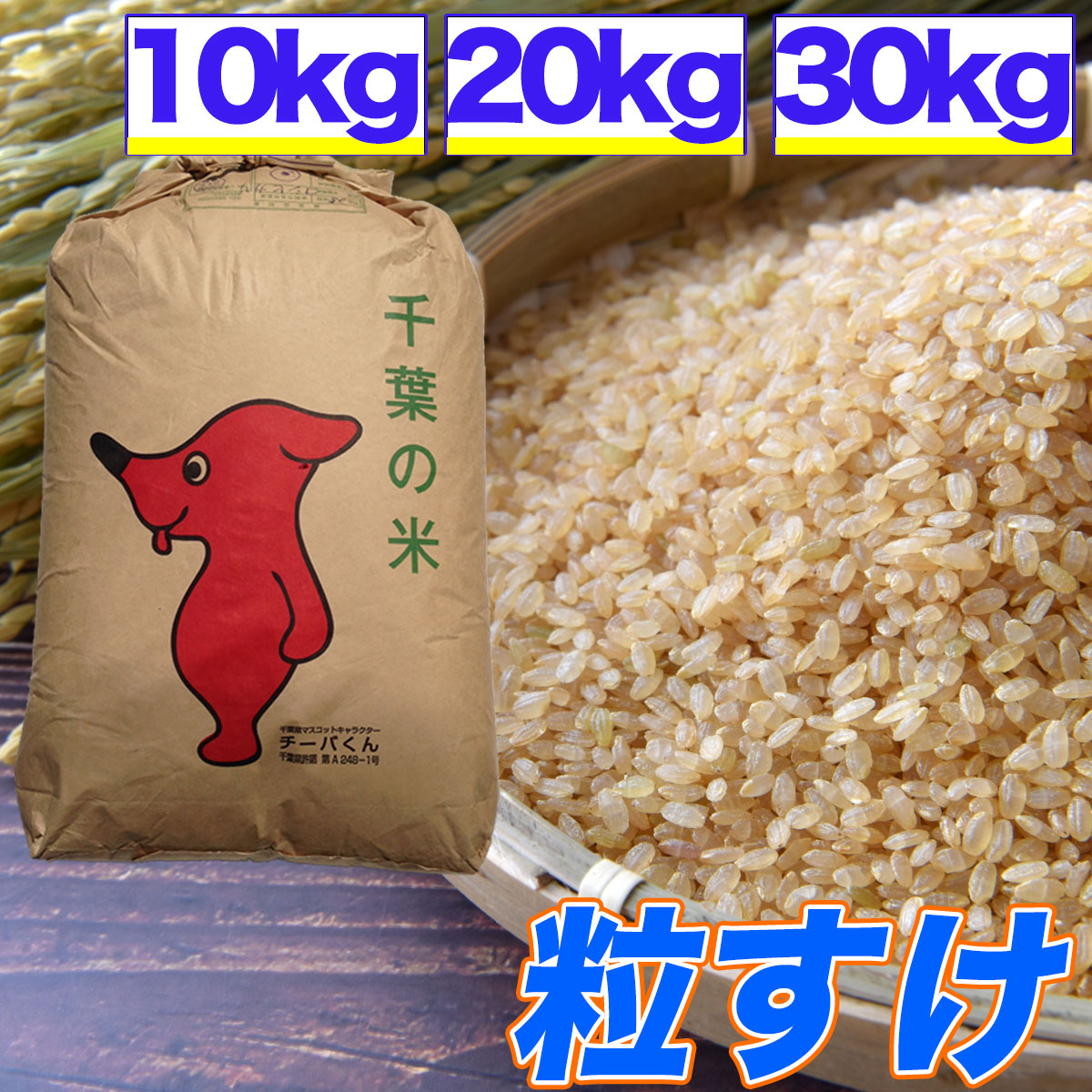 【楽天市場】新米 令和6年産 米 玄米 10kg 20kg 30kg 精米 白米 コシヒカリ 残留農薬検査済 選別済 玄米 千葉県産 令和5年産  送料無料 : くるりのお米屋