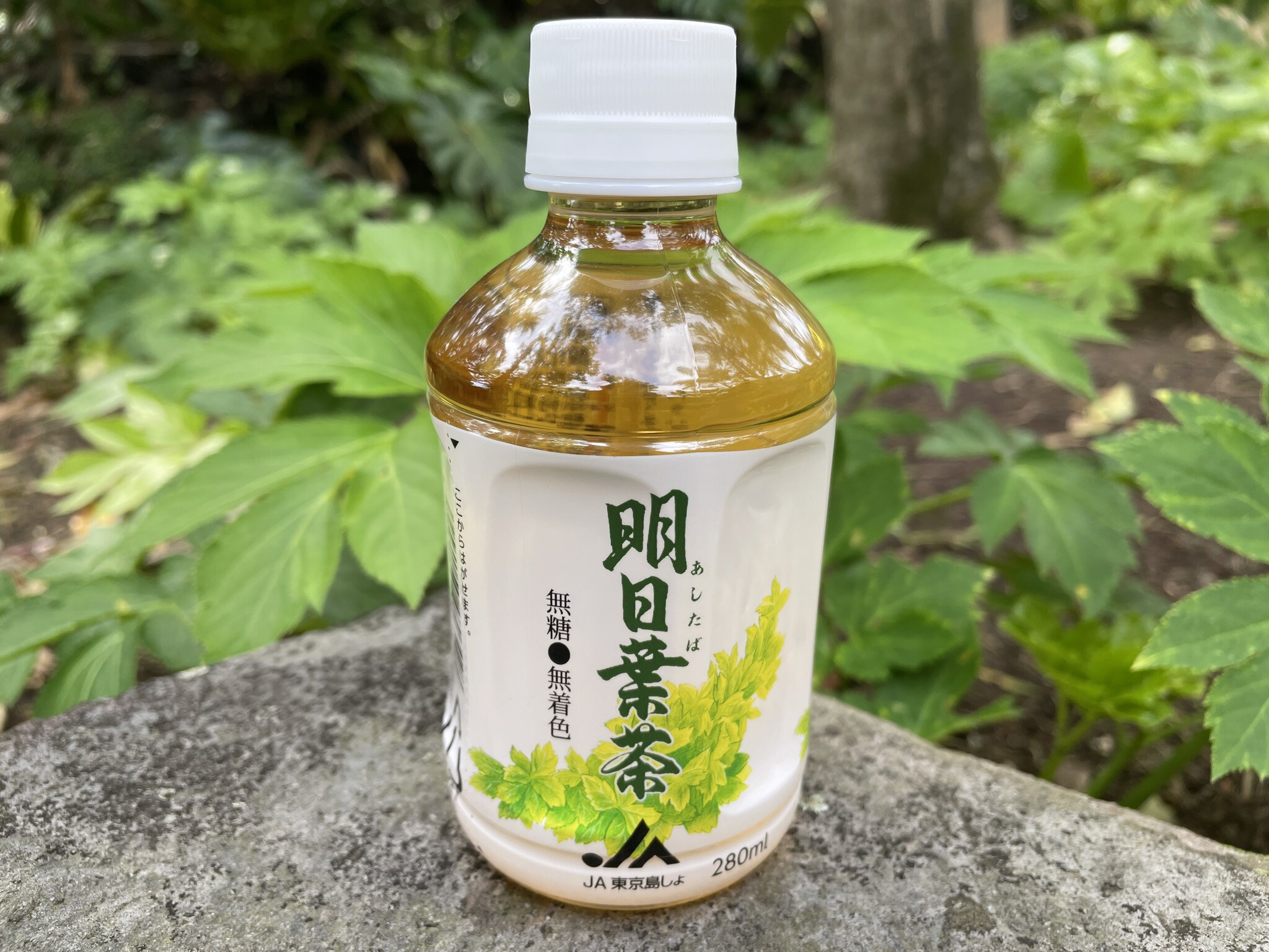 楽天市場】明日葉茶（ペットボトル） : 東京愛らんどショップ