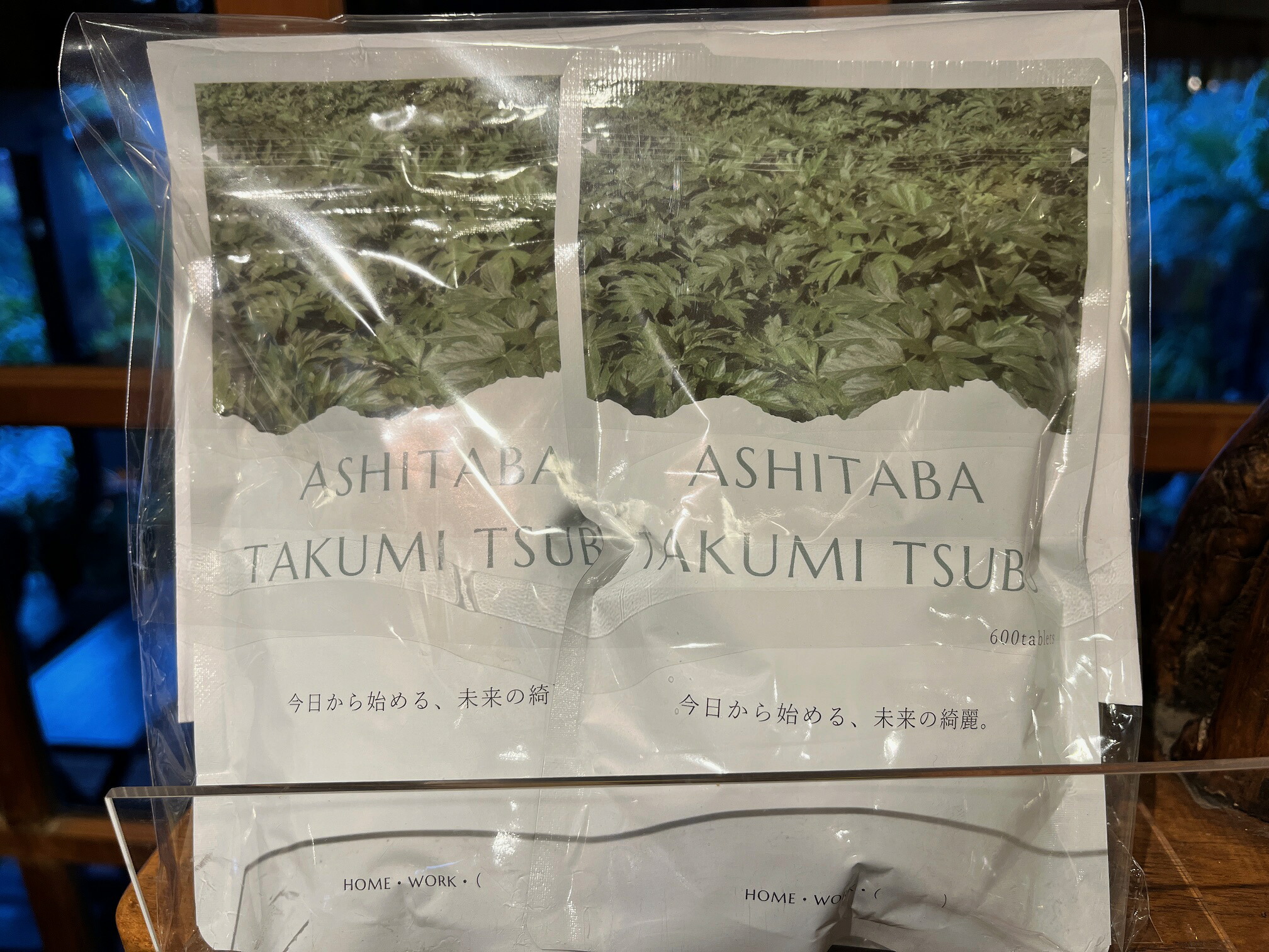 匠の近い将来葉粒 大