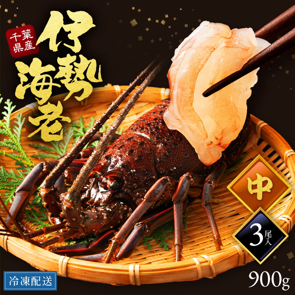 【中サイズ】えび 伊勢海老 千葉 千葉県 3尾 900g 千葉 冷凍保存 うまい おすすめ 名産地 縁起物 めでたい レシピ 浜焼き エビフライ 海老 伊勢 イセエビ 伊勢エビ いせえび lobster 贈答用 ギフト ご当地 送料無料