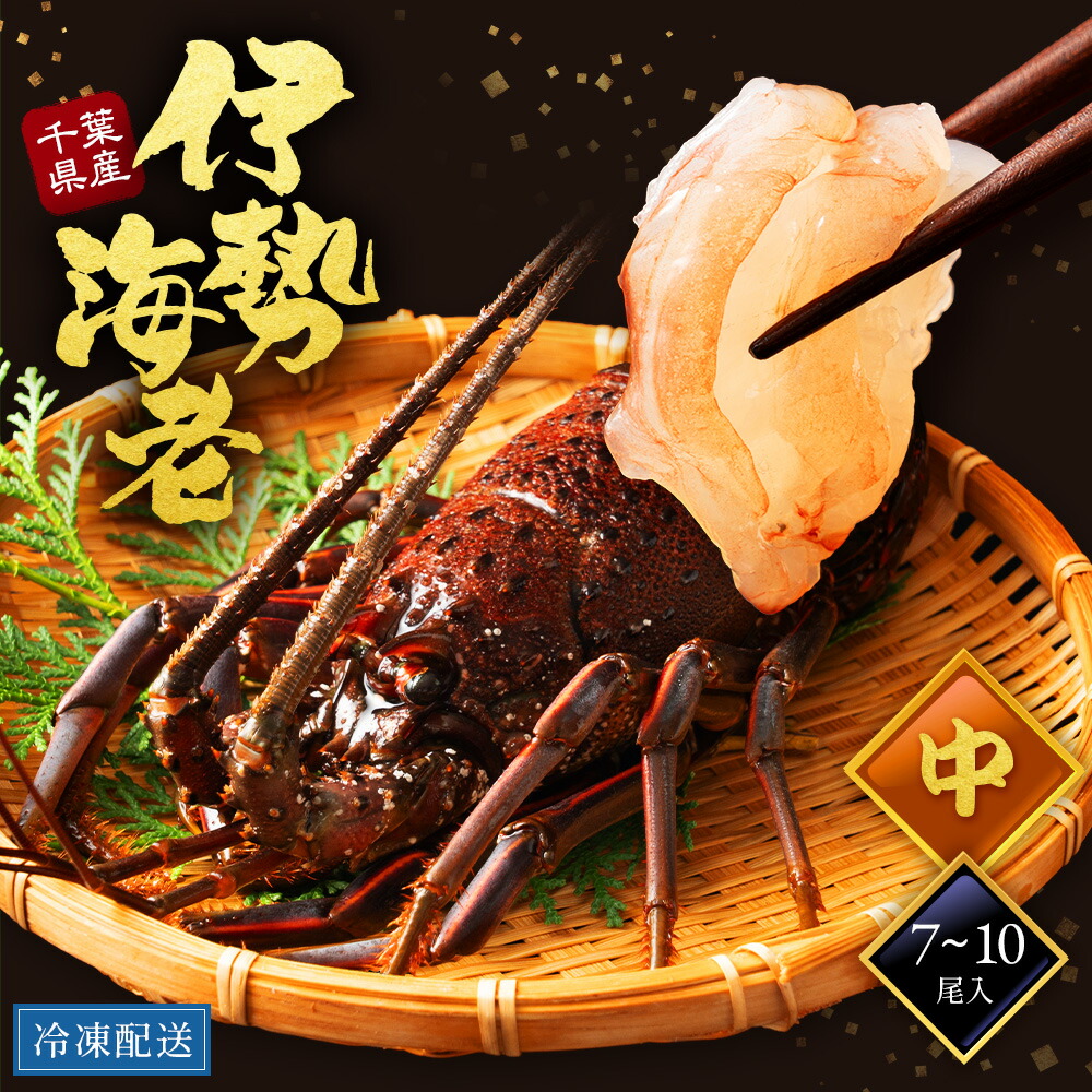 【中サイズ】国産 千葉県産 伊勢海老 刺身 そのまま そのまま冷凍 千葉県 7~10尾 2000g グラム 名産地 うまい シーズン 冷凍保存 おすすめ 縁起物 ホイル フライ レシピ 有名な県 海老 伊勢エビ いせえび lobster ディナー お取り寄せ 贈答用 ギフト 母の日 父の日 送料無料