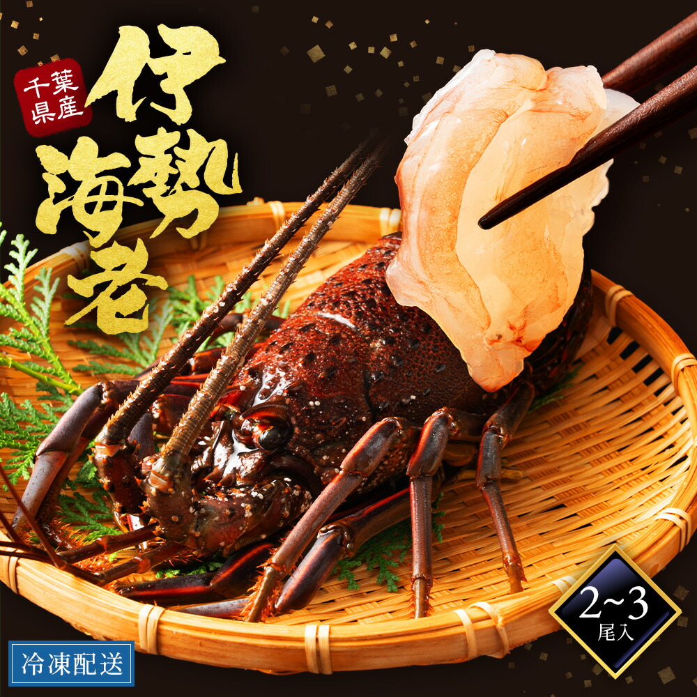 伊勢海老 国産 千葉県 1000g ２～3尾入 刺身 鮮度 新鮮 グラム単位 名産地 解禁 シーズン おすすめ 縁起物 めでたい 海老 伊勢エビ いせえび lobster フレンチ ディナー お取り寄せ 贈答用 ギフト 送料無料 1kg えび 初夏の味覚 ギフトにも最適 贅沢料理 鮮度保持 海の幸
