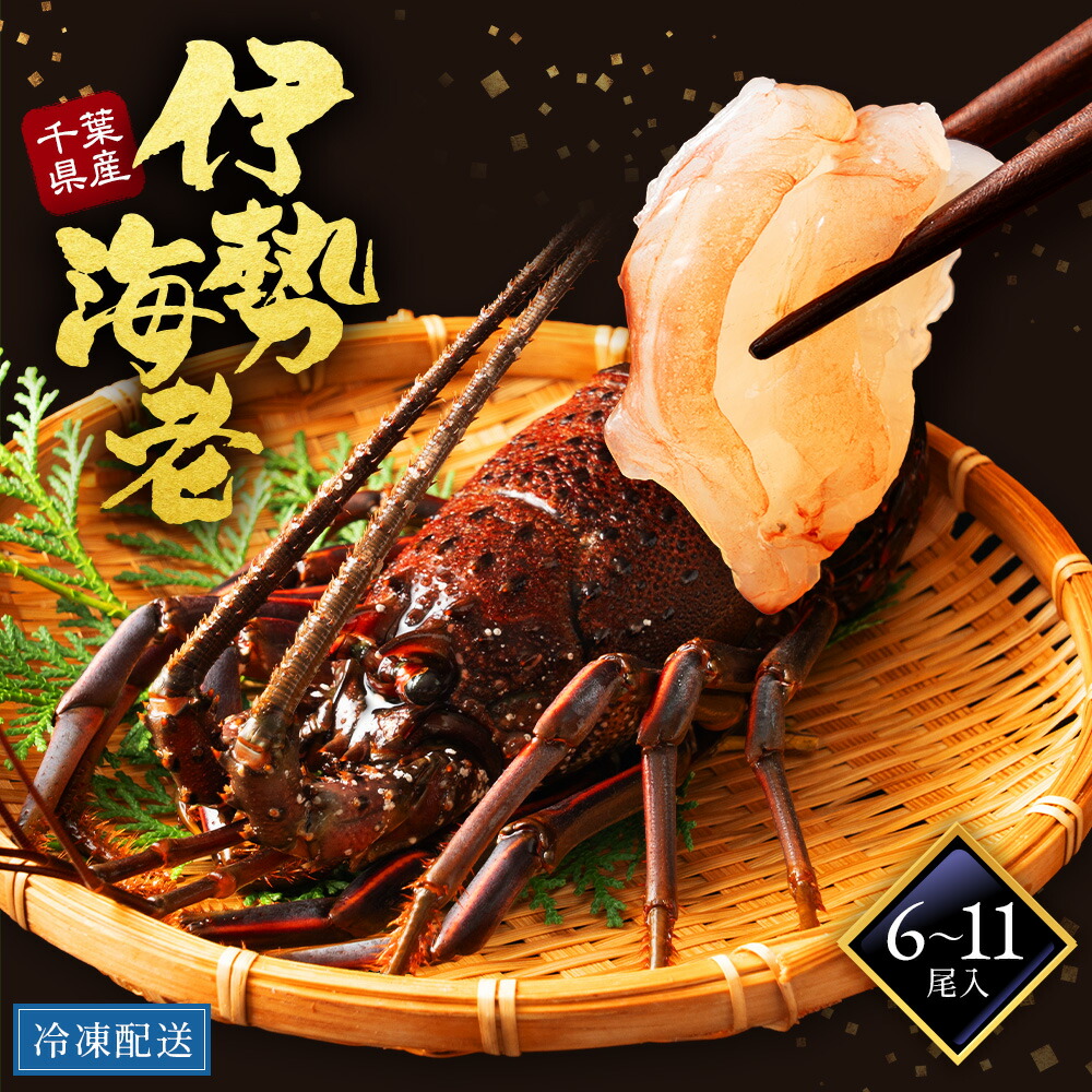 小柄　伊勢海老図 作者不詳/海老之図/伊勢海老/エビ図/イセエビ/花鳥図/掛軸☆宝船