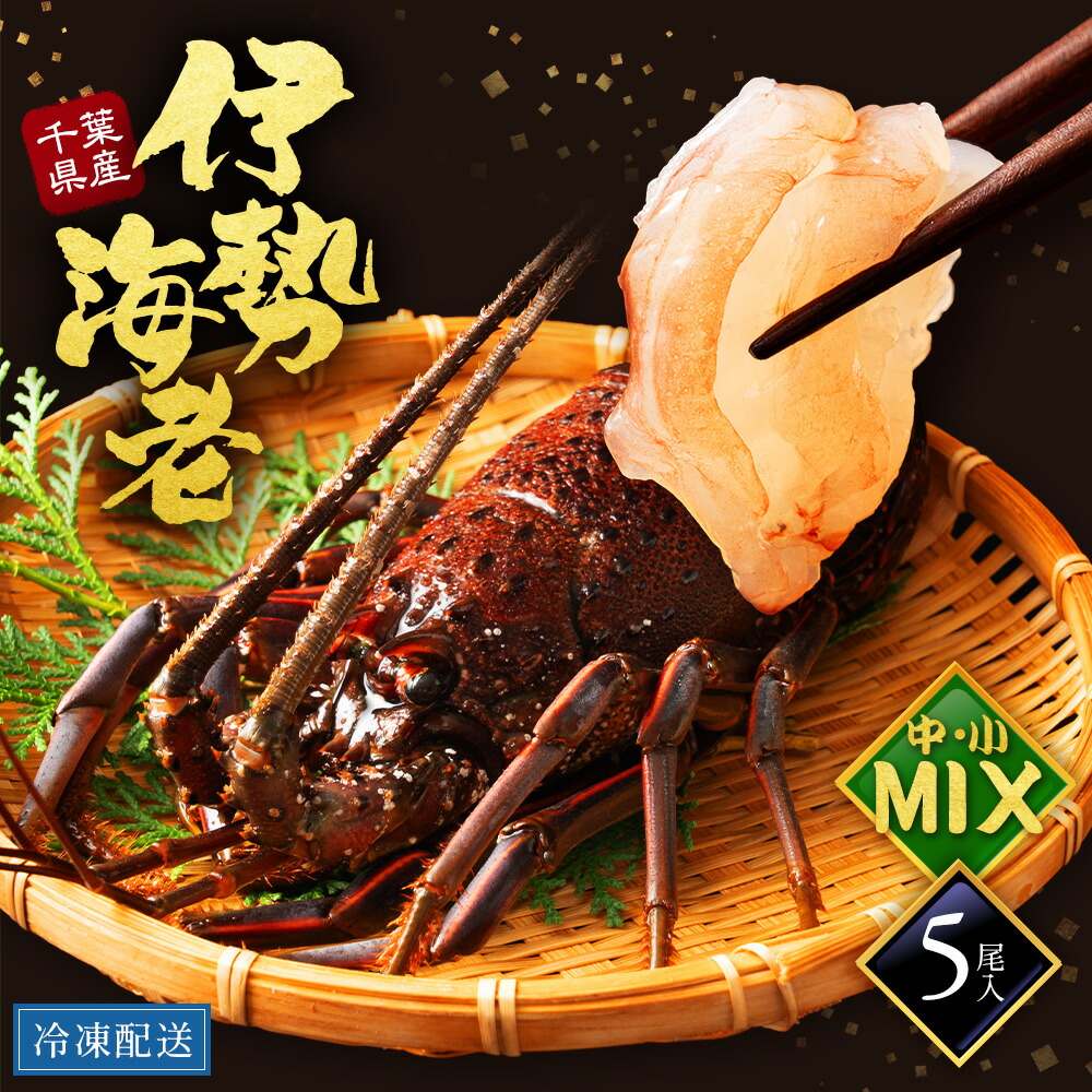 【中小MIX】国産 千葉 活〆 伊勢海老 ５尾 １KG えび 千葉 千葉県 5尾 1000g 名産地 刺身 取り寄せ うまい 解禁 冷凍保存 おすすめ 縁起物 贈答 贅沢 漁港直送 鮮魚 海鮮 海老 伊勢 伊勢エビ いせえび お取り寄せ 贈答用 ギフト プレゼント 結婚祝い 母の日 父の日 送料無料
