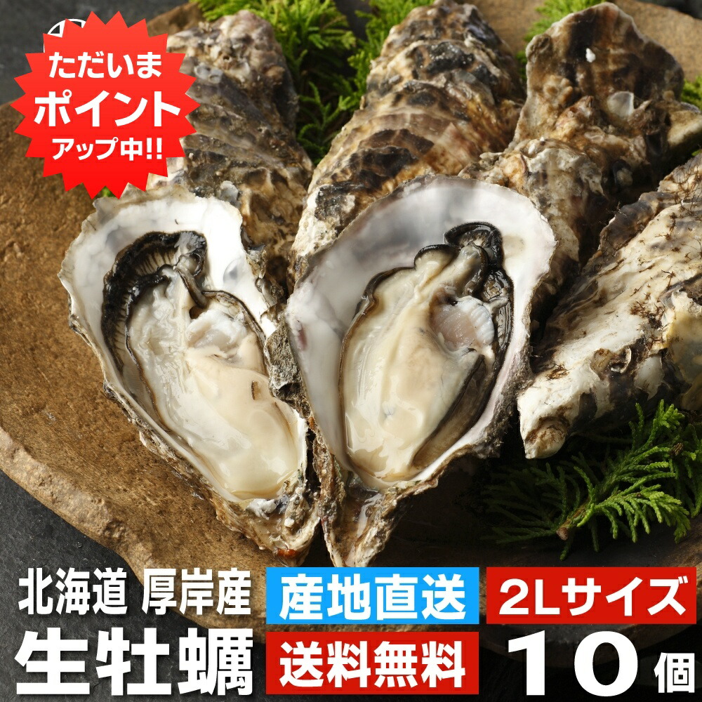 【マラソン期間中P2倍！】生牡蠣２Ｌサイズ１０個 約1.3kg  送料無料 まるえもん 北海道 厚岸産 殻付き 産地直送 生食用 牡蠣 かき カキ 生カキ 生かき 生ガキ 生がき ご当地 お土産 お取り寄せ プレゼント ギフト 贈答 御中元 お中元 御歳暮 お歳暮