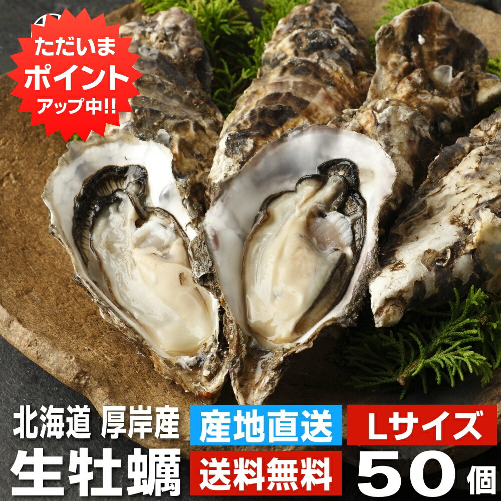 【０の付く日でP10倍！】生牡蠣Ｌサイズ５０個 約5.2kg 送料無料 まるえもん 北海道 厚岸産 殻付き 産地直送 生食用 牡蠣 かき カキ 生カキ 生かき 生ガキ 生がき ご当地 お土産 お取り寄せ プレゼント ギフト 贈答 御中元 お中元 御歳暮 お歳暮