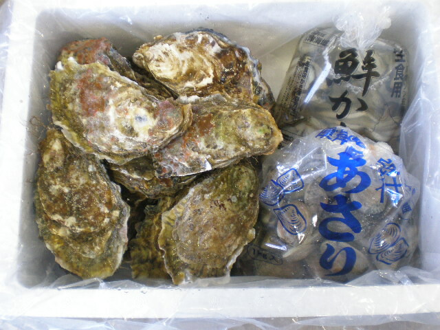 楽天市場】釧路の新鮮 厚岸産 特大殻付活牡蠣（１５０ｇ～２００g）３０個 : 釧路丹頂商店