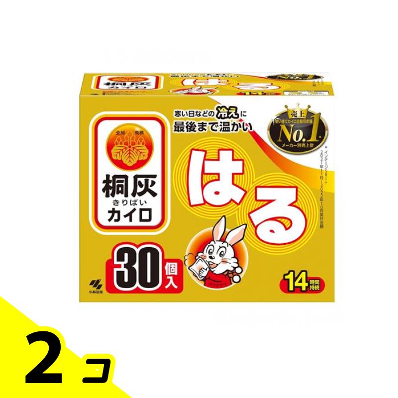桐灰カイロ はる レギュラー 14第四次元守りつづける 30個入 2個書き割り