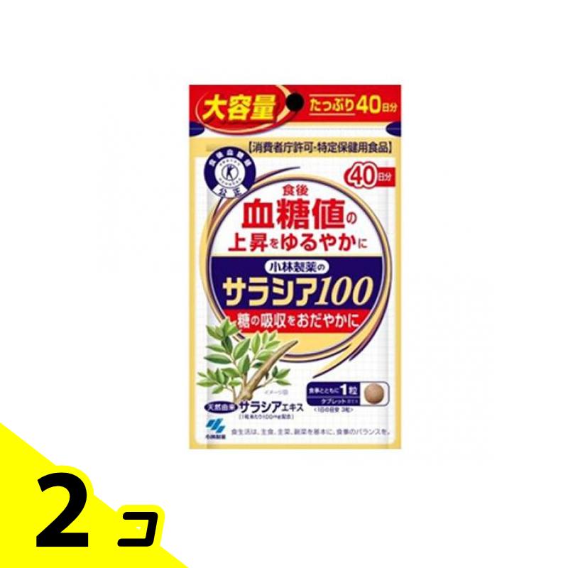 小林製薬 サラシア100 トクホ サプリメント 大容量40日分 120粒 2個セット