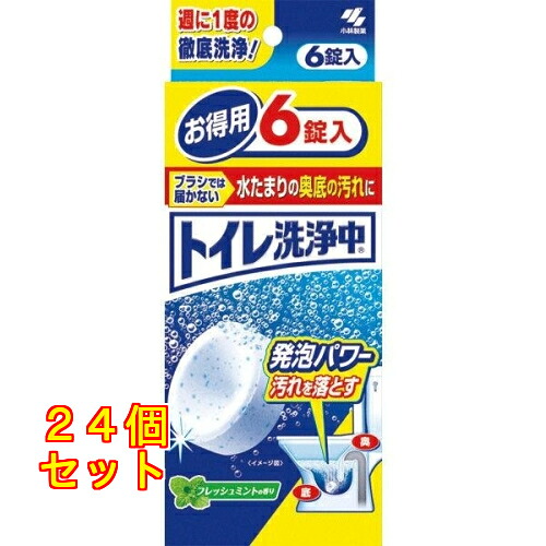 小林製薬 トイレ洗浄中 フレッシュミントの香り 6錠×24個 8,991円