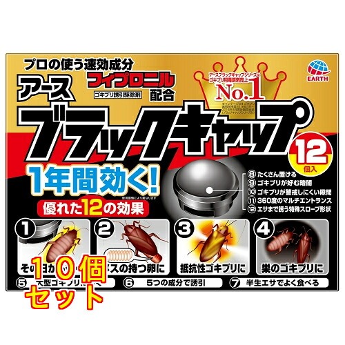 黒いこと旗がしら 12個×10個