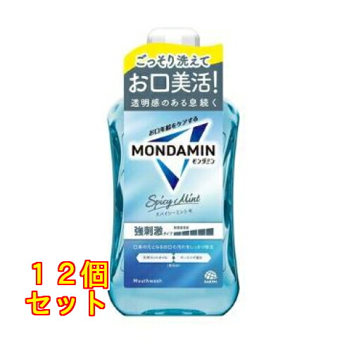 アース製薬 モンダミン スパイシーミント 1000mL×12個