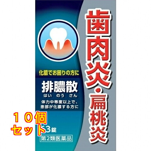 【第2類飲み薬】排膿散抽出エキス錠J 63錠×10個