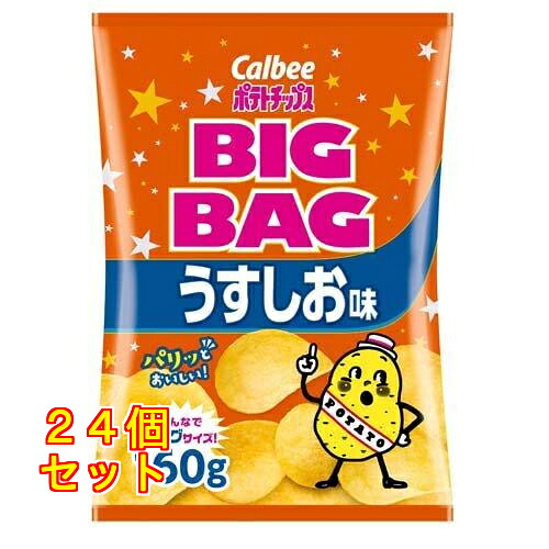 カルビー ポテトチップス ビッグバッグ うすしお味 160g×24個