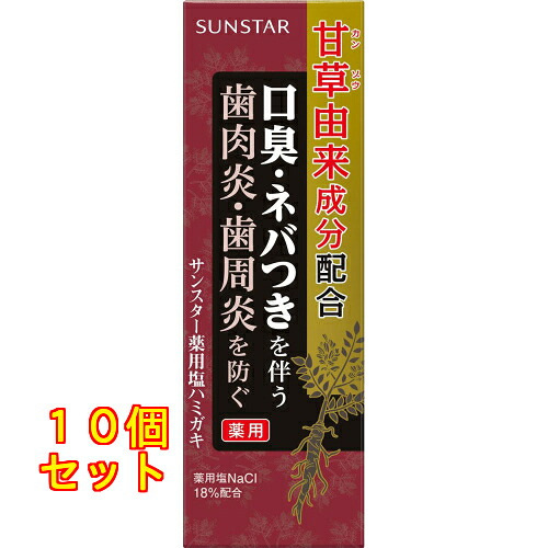 薬用塩ハミガキ 85g×10個