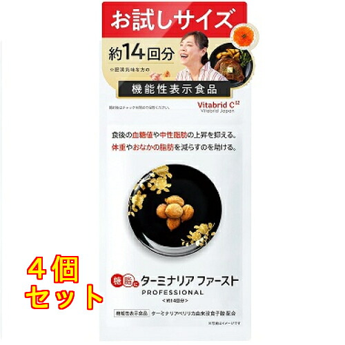 ターミナリアファースト 職業的4 56粒×4個