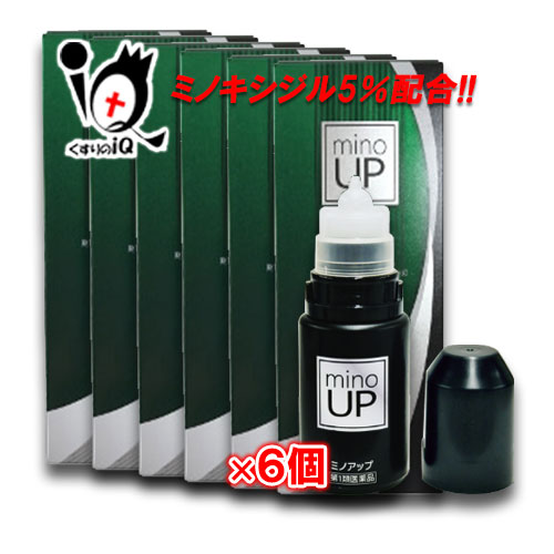 【第1類医薬品】ミノアップ 60ml×6個セット【東和薬品】ミノキシジル5％配合 ミノケア リザレック アロゲイン ミノグロウ スカルプDも発売中発毛剤 増毛 発毛促進 抜け毛予防 AGA 髪質 頭皮ケア 塗り薬 増やす 生える 効く おすすめ まとめ買い